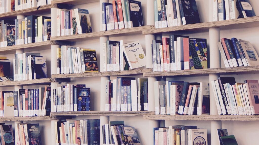 books-library-read-1617327 books, library, read-1617327.jpg